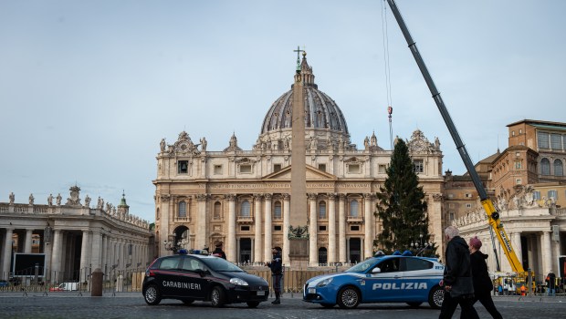 VATICAN-CHRISTMAS-TREE