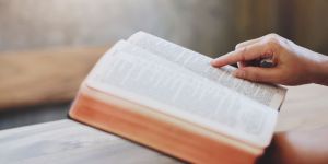 ¿La Biblia da mejores consejos que las redes sociales?