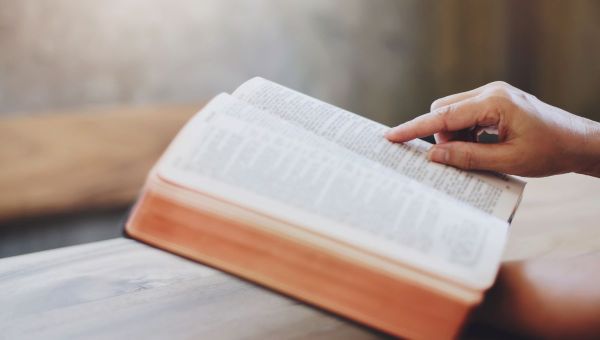 Oficio de lectura Biblia Cantar de los cantares