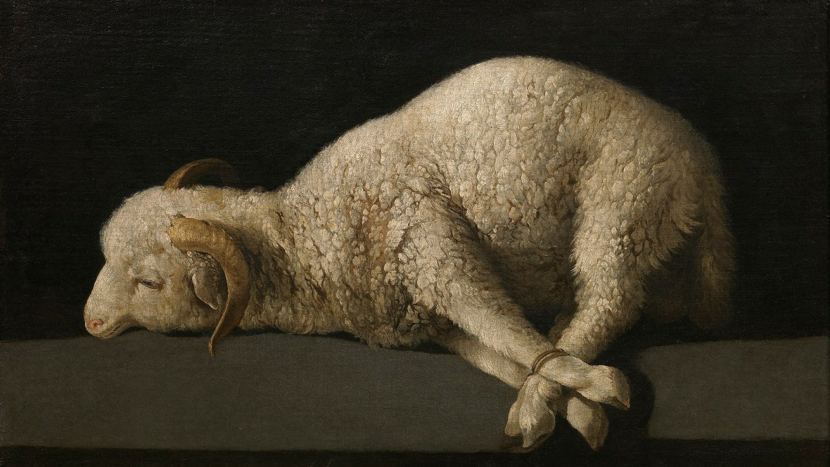 agnus-dei-de-zurbaran-.jpg