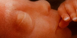 Este versículo de la Biblia resume la postura de la Iglesia sobre el aborto