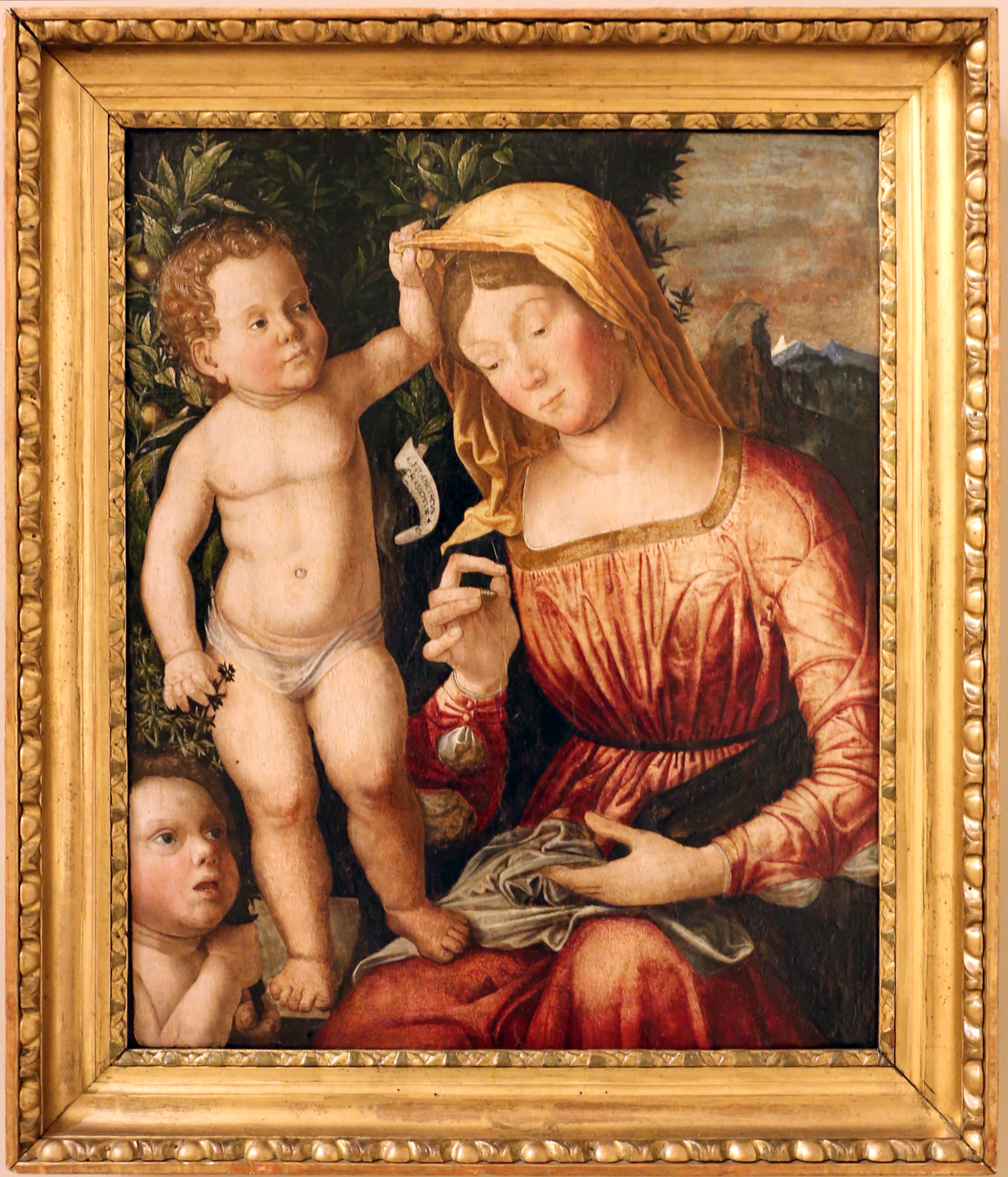 MADONNA
