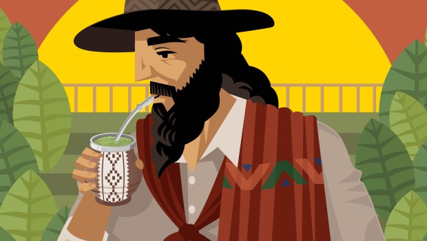 GAUCHO