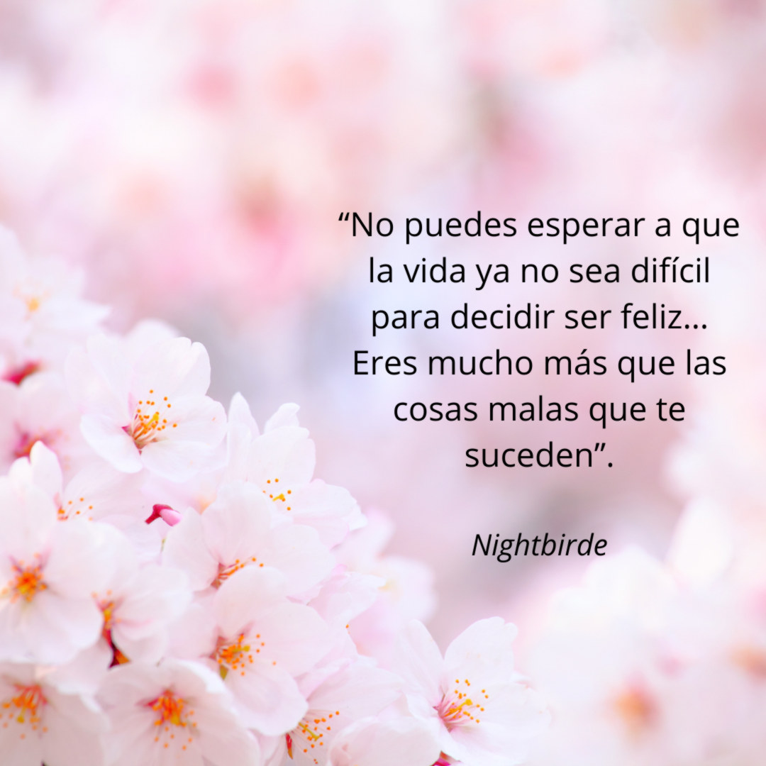 Frases de Nightbirde