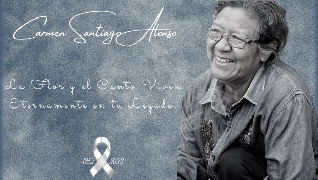 CARMEN SANTIAGO ALONSO