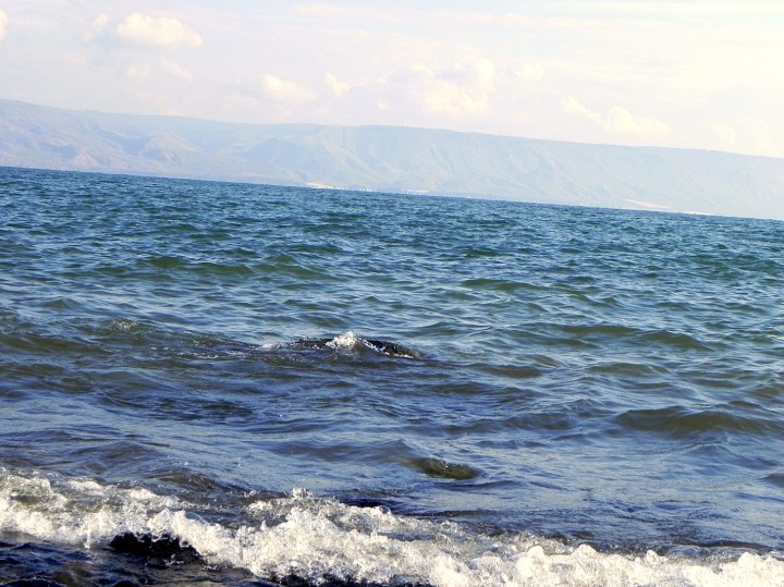 WEB3-04-See-of-Galilee_PhotoCredit-Sr-Amata-CSFN.jpg