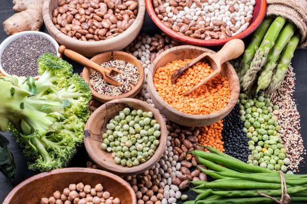 PROTEIN