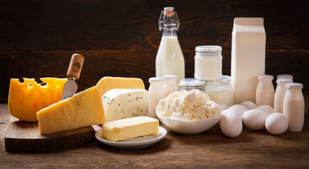 dairy products