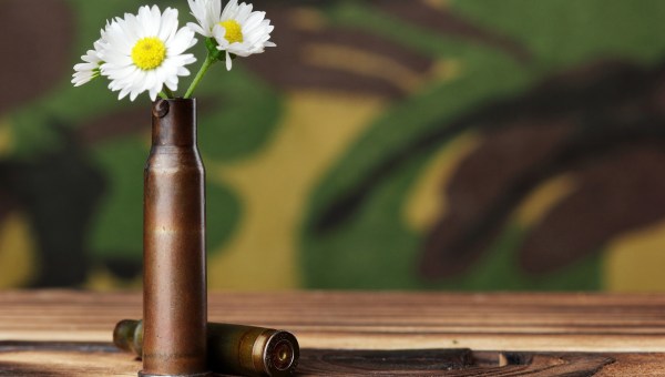 Flores donde hubo armas