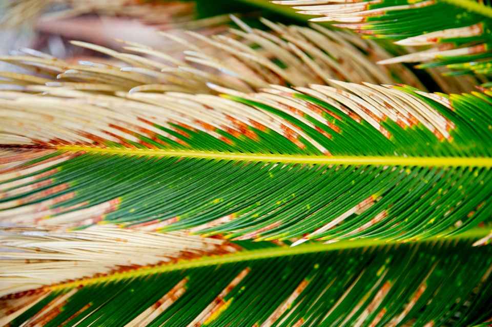 Aleteia Team, Aleteia