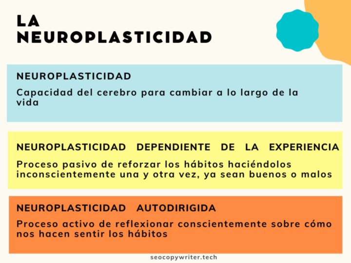 NEUROPLASTICIDAD