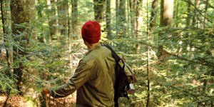 Cómo mejorar tu salud con baños de bosque