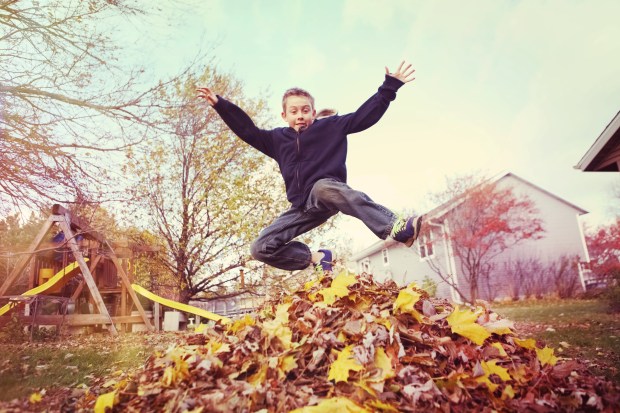 AUTUMN
