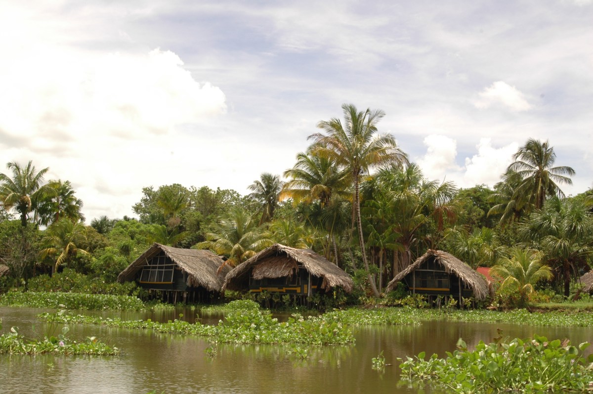 WARAO