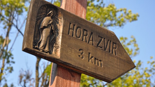 Hora Zvir