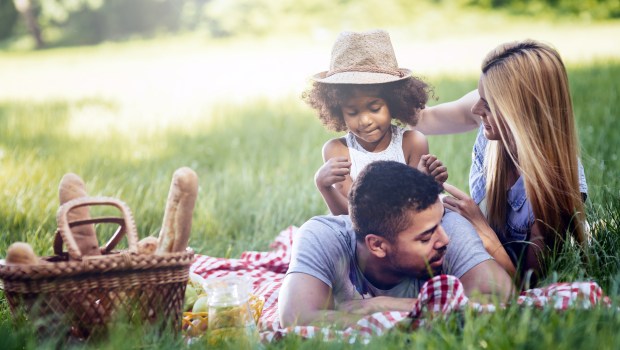 FAMILY PICNIC