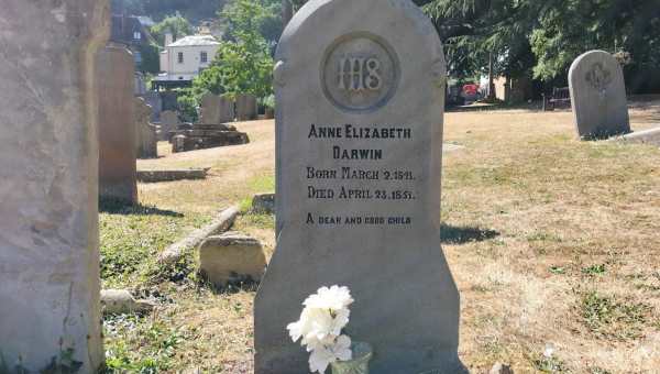 ANNE ELIZABETH DARWIN