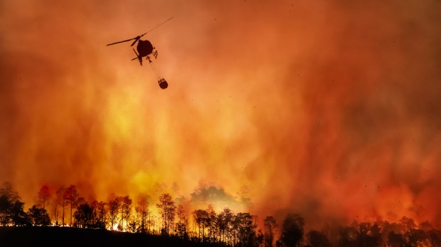 incendio forestal