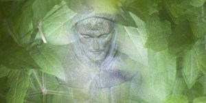 Mi corazón es franciscano ¿y el tuyo?