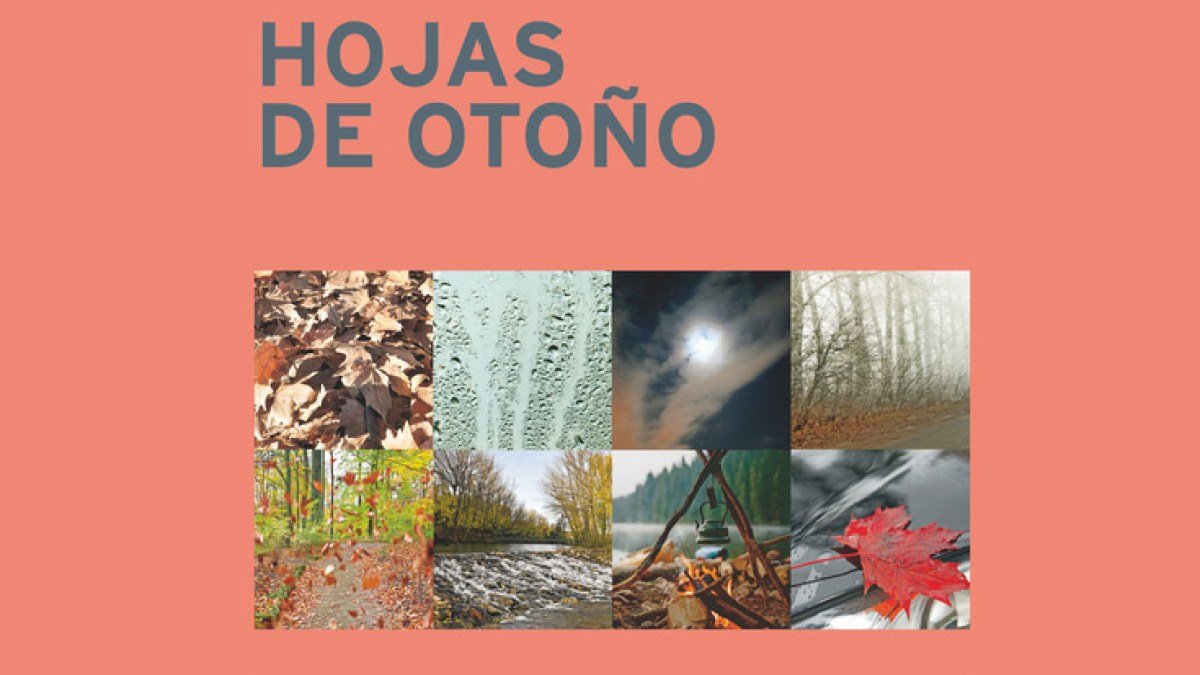 HOJAS DE OTOÑO