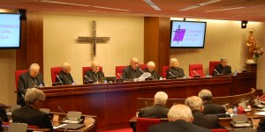 Los obispos rechazan con firmeza la ley «trans» en España
