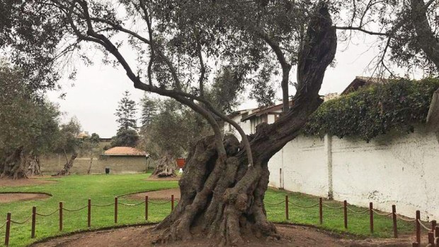 PERU