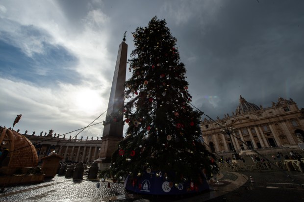 Press preview for the Christmas Crib in St. Peter's Square December 03, 2022