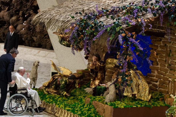 Pope Francis Audience with the donors of the Christmas tree and the Crib
