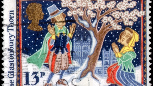 El espino de Glastonbury