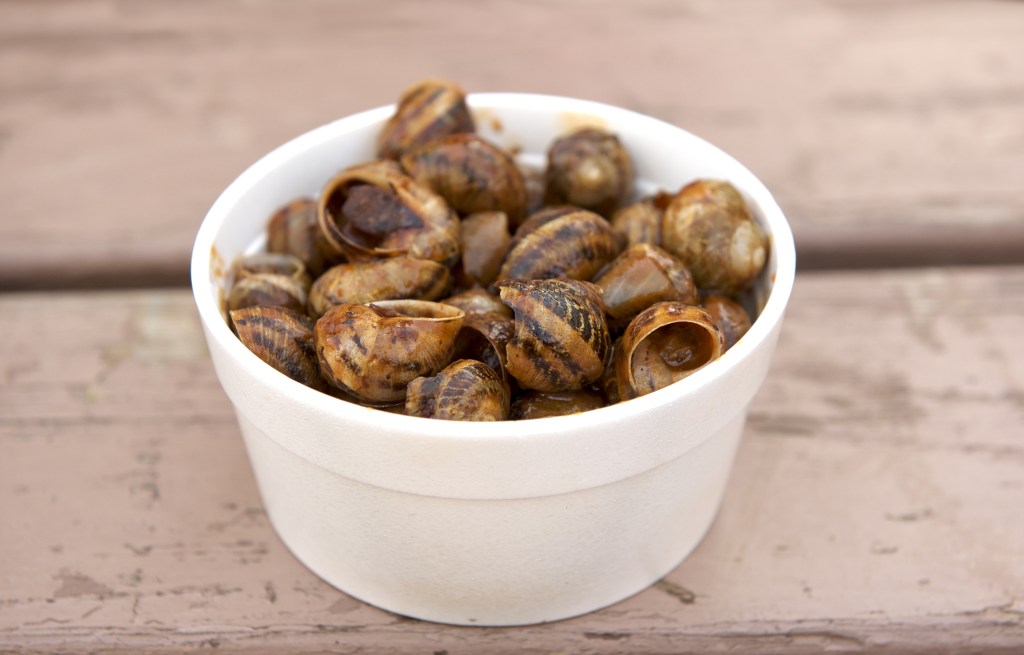 snails-maltese-food.jpeg