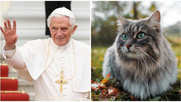 Pope Benedict and cat