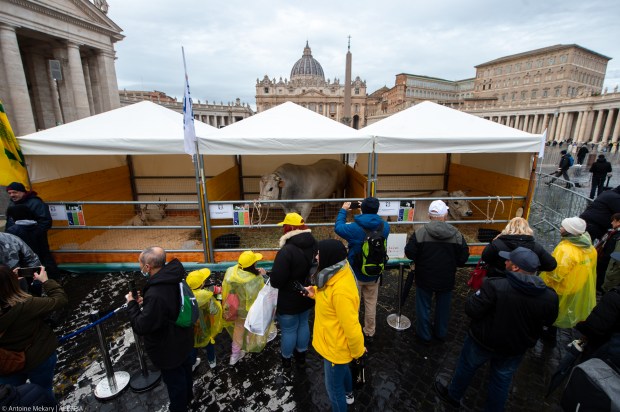 blessing the animals for the feast day of Saint Anthony Abbot, protector of animals.