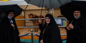 San Antonio, abad, fiesta de los criadores de animales