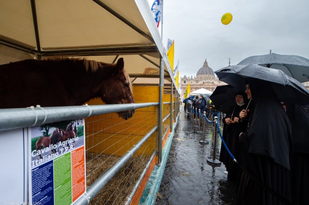 blessing the animals for the feast day of Saint Anthony Abbot, protector of animals.