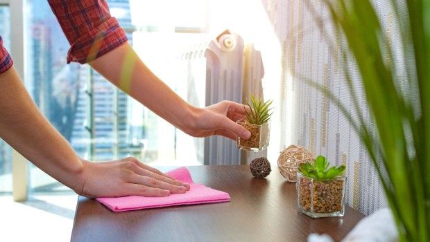 ama de casa limpiando