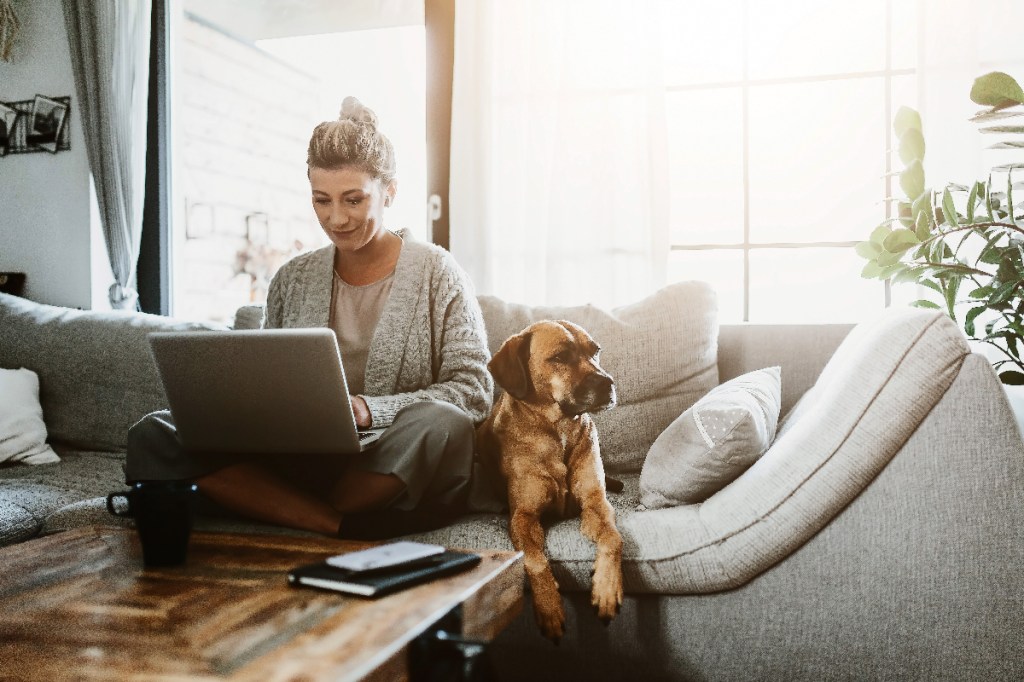 woman-working-computer-dog