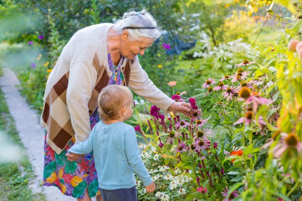 grandma-senior-elderly-child-garden