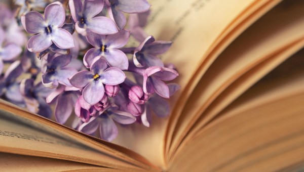 perfumes de la Biblia