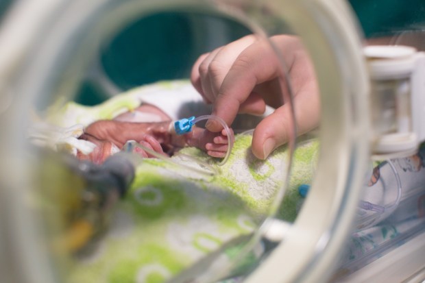 Matka trzyma małą rączkę swojego urodzonego przedwcześnie dziecka w inkubatorze