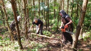 Carmelite nuns clearing trees on a farm in Drasty