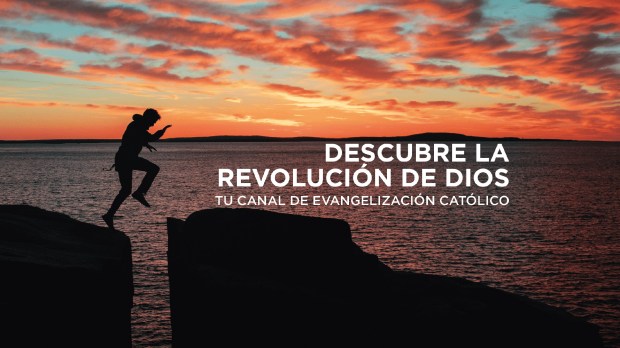 SE BUSCAN REBELDES