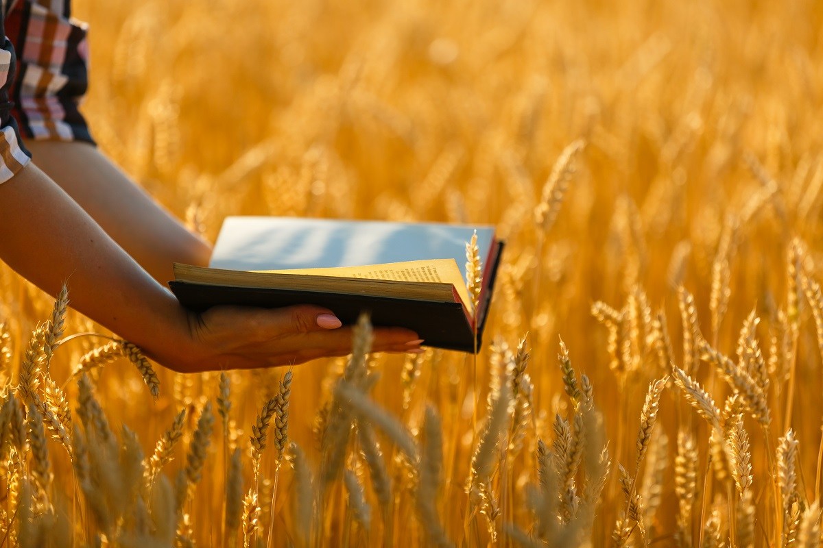 Woman holding bible in summer field