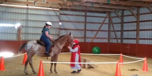 Las monjas de Wisconsin que trabajan con caballos