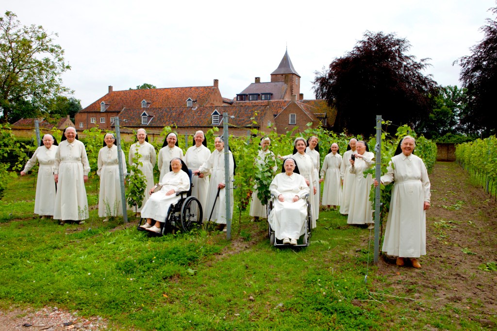 Norbertanki z klasztoru Sint Catharinadal w swojej winnicy
