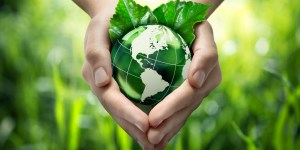 5 puntos para entender bien qué es la ecología integral