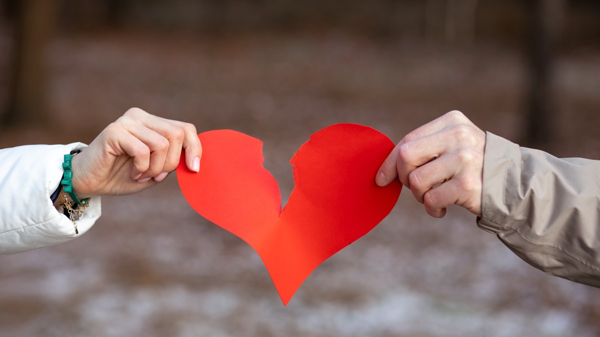 shutterstock_2105562062.jpg