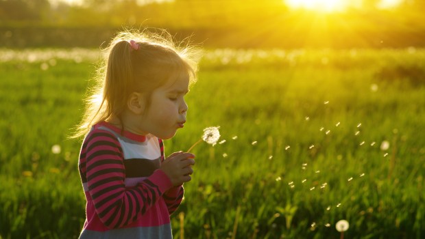 Nina-soplando-dientes-de-leon-al-aire-libre-en-el-campo-de-primavera-shutterstock_634694684