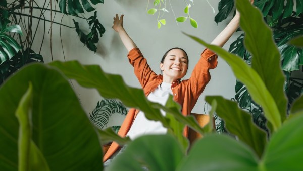 Young woman stretching surrounded by houseplants.