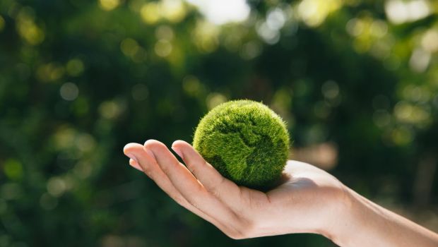 Laudato si' ecología integral