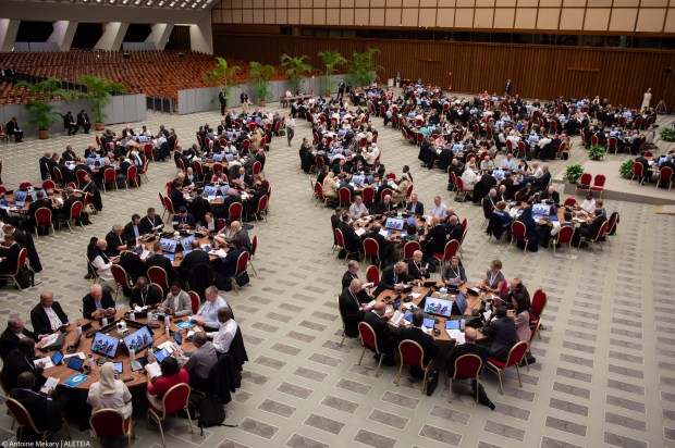 ¿Cómo es el Sínodo?